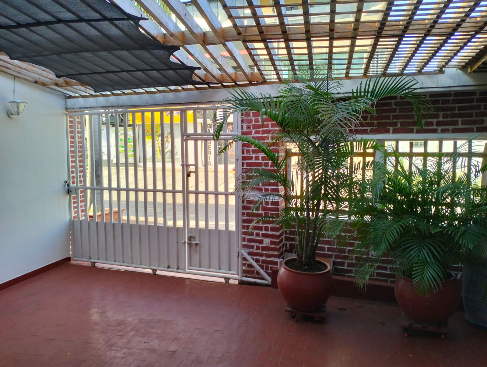 WhatsApp-Image-2025-02-17-at-17.52.15-2