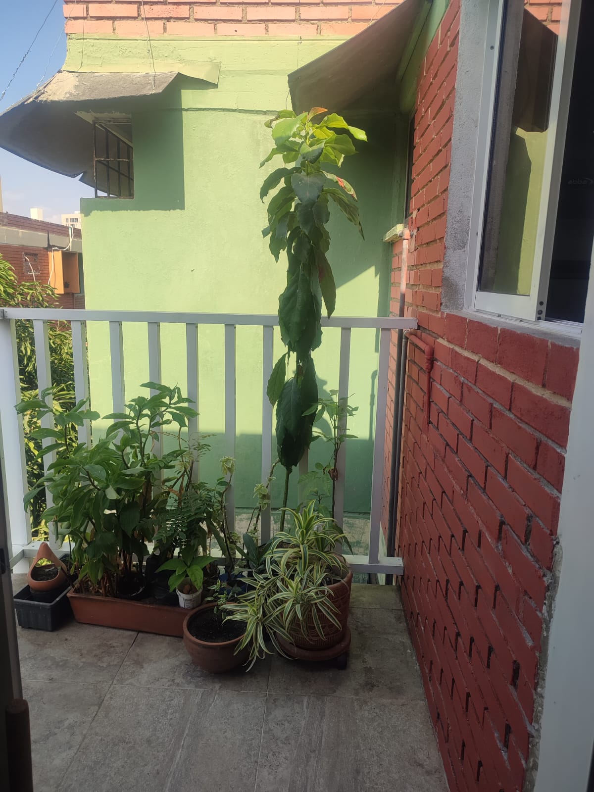 WhatsApp-Image-2025-04-08-at-16.55.48-1