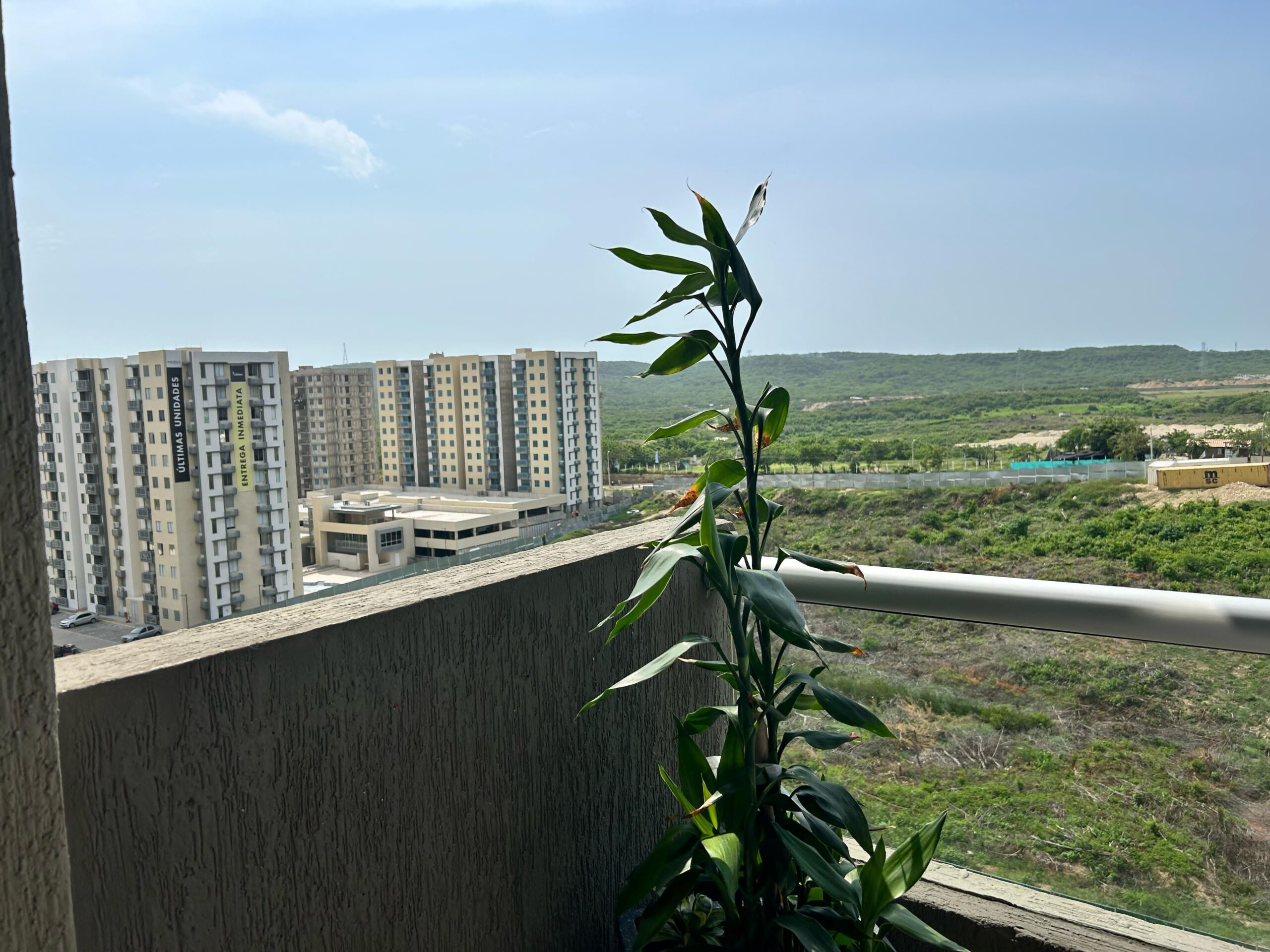 WhatsApp-Image-2025-05-31-at-11.02.38-3